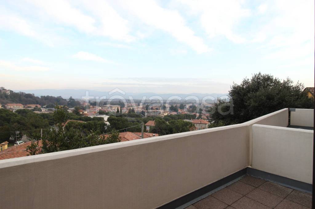 immagine annuncio 3 di 14