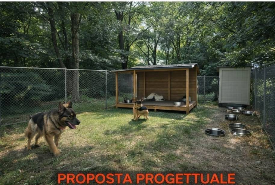 immagine annuncio 13 di 15