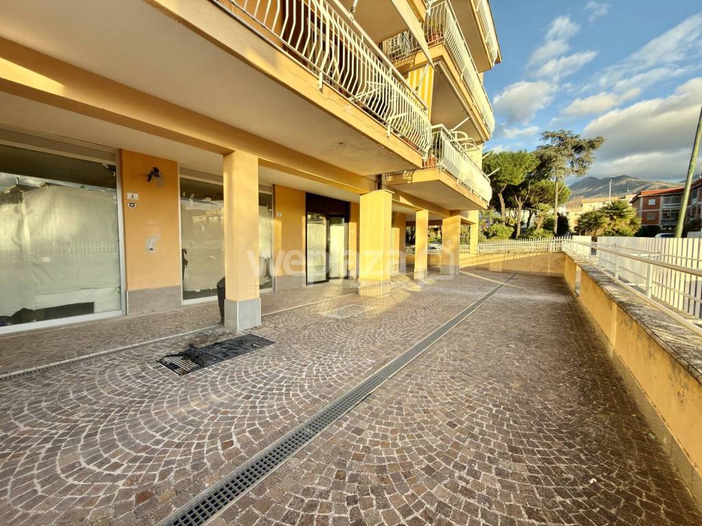 immagine annuncio 10 di 12