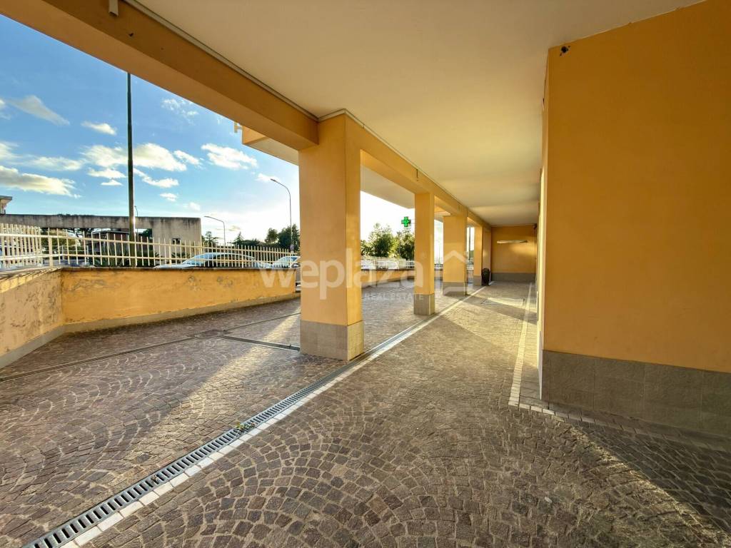 immagine annuncio 11 di 12