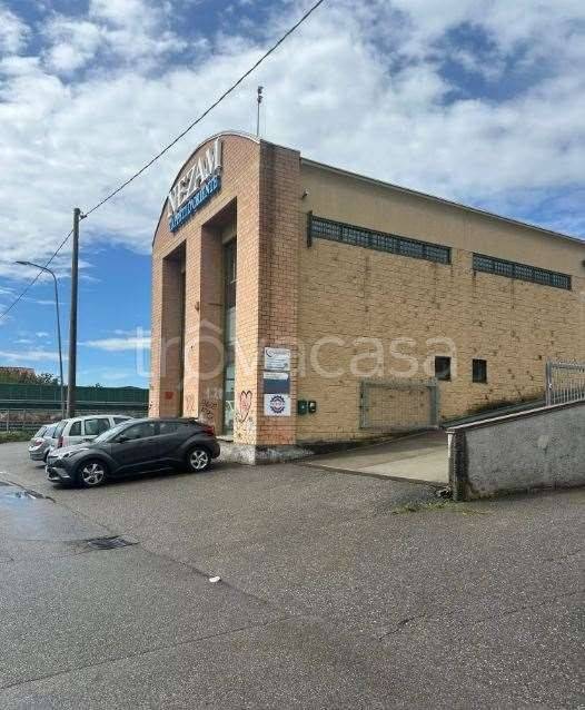 immagine annuncio 8 di 15