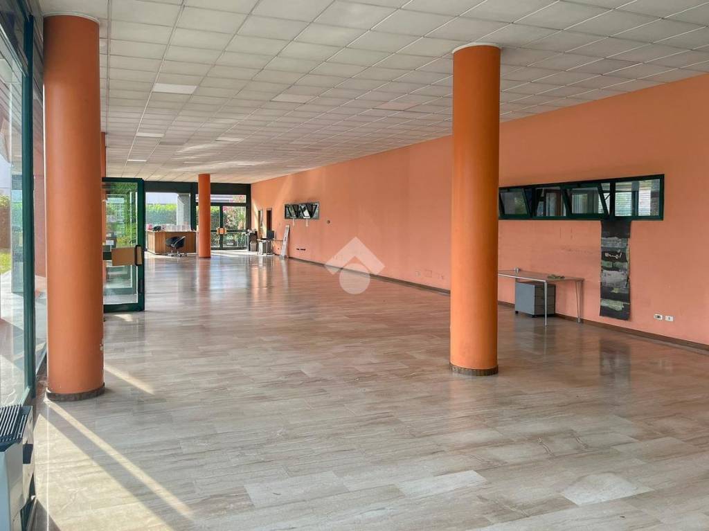 immagine annuncio 3 di 6