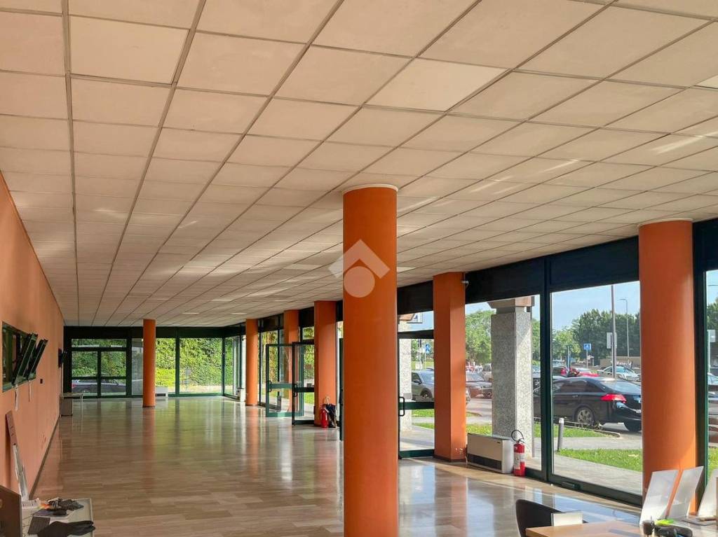 immagine annuncio 4 di 6