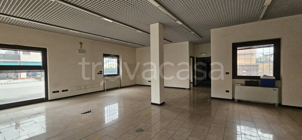 immagine annuncio 3 di 7