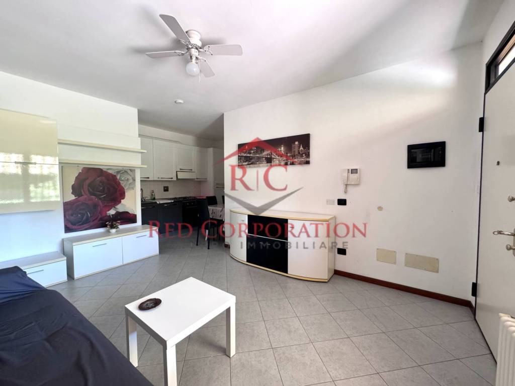 immagine annuncio 1 di 14