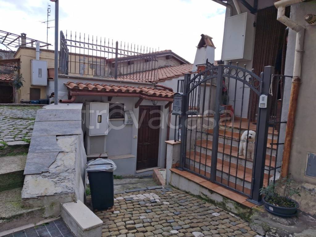 immagine annuncio 5 di 13