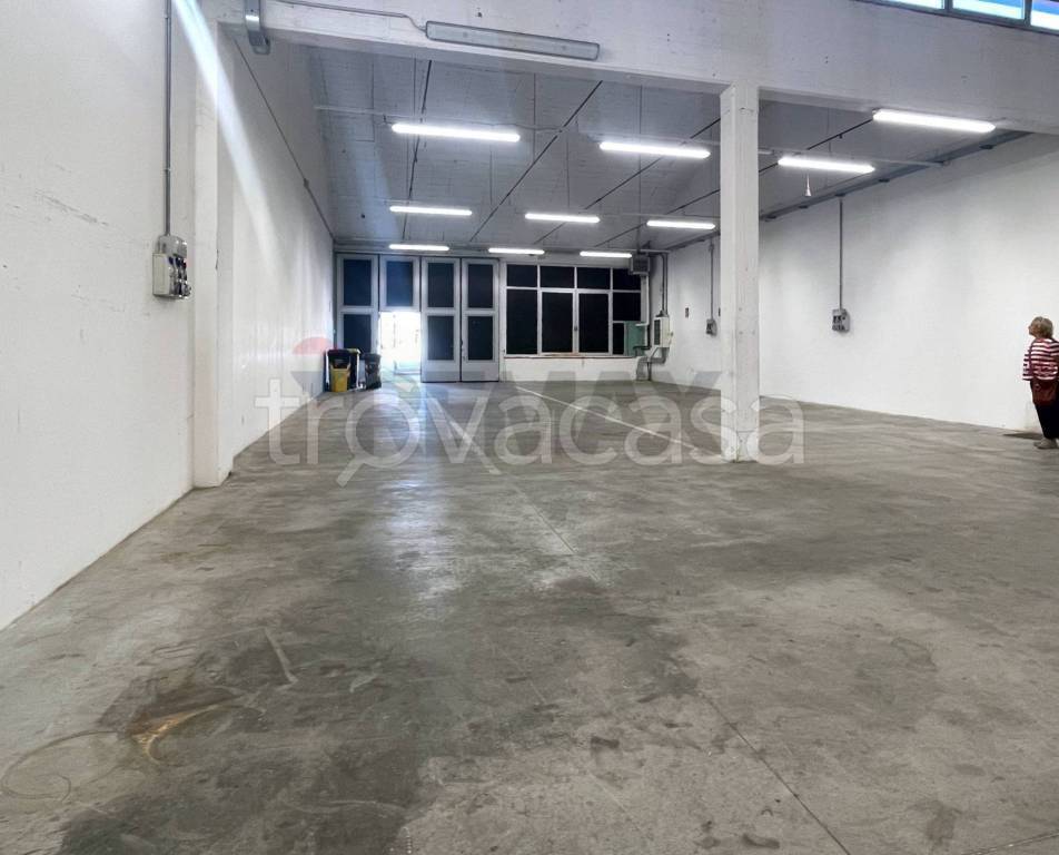 immagine annuncio 2 di 9