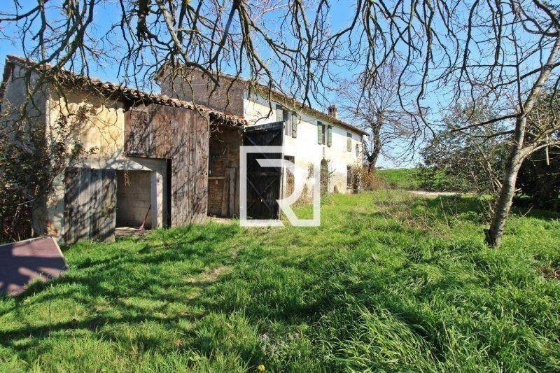 immagine annuncio 4 di 8