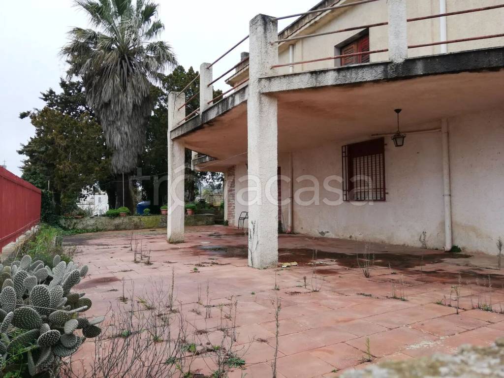 immagine annuncio 12 di 13