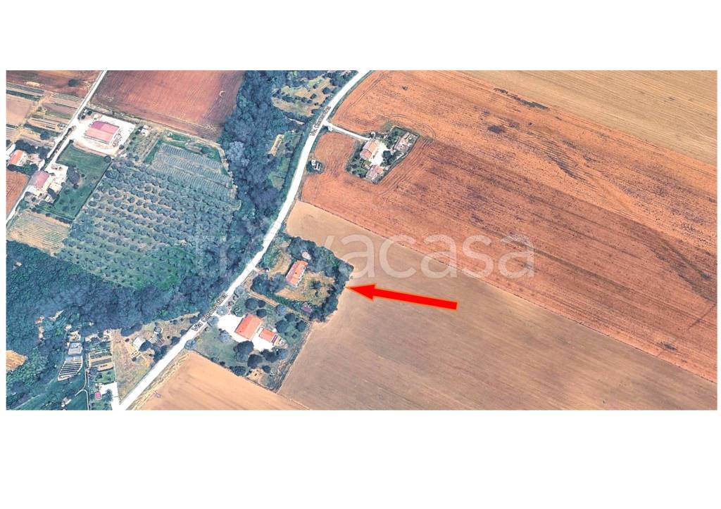 immagine annuncio 3 di 4