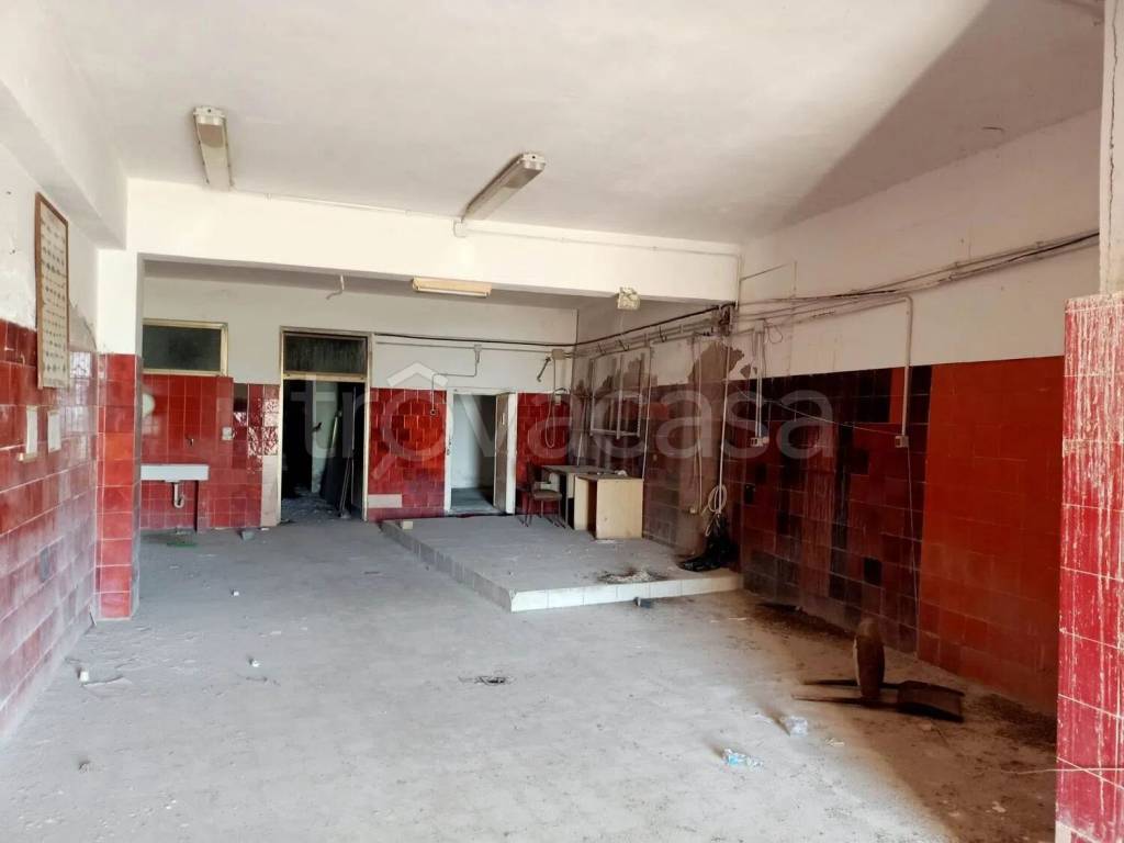 immagine annuncio 7 di 14