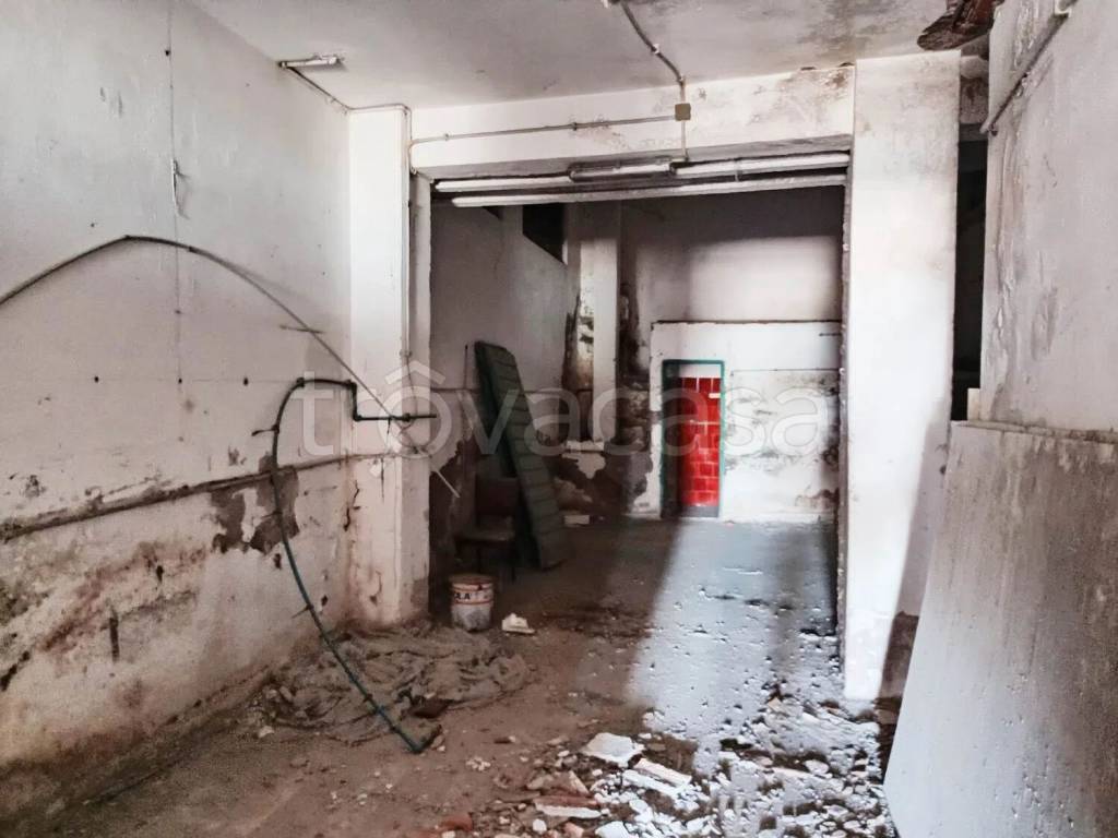 immagine annuncio 9 di 14