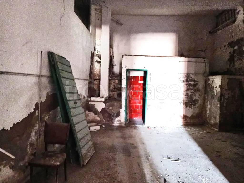 immagine annuncio 10 di 14