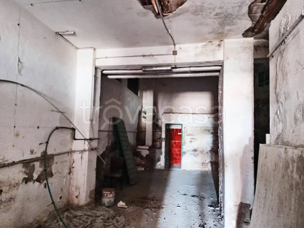 immagine annuncio 11 di 14