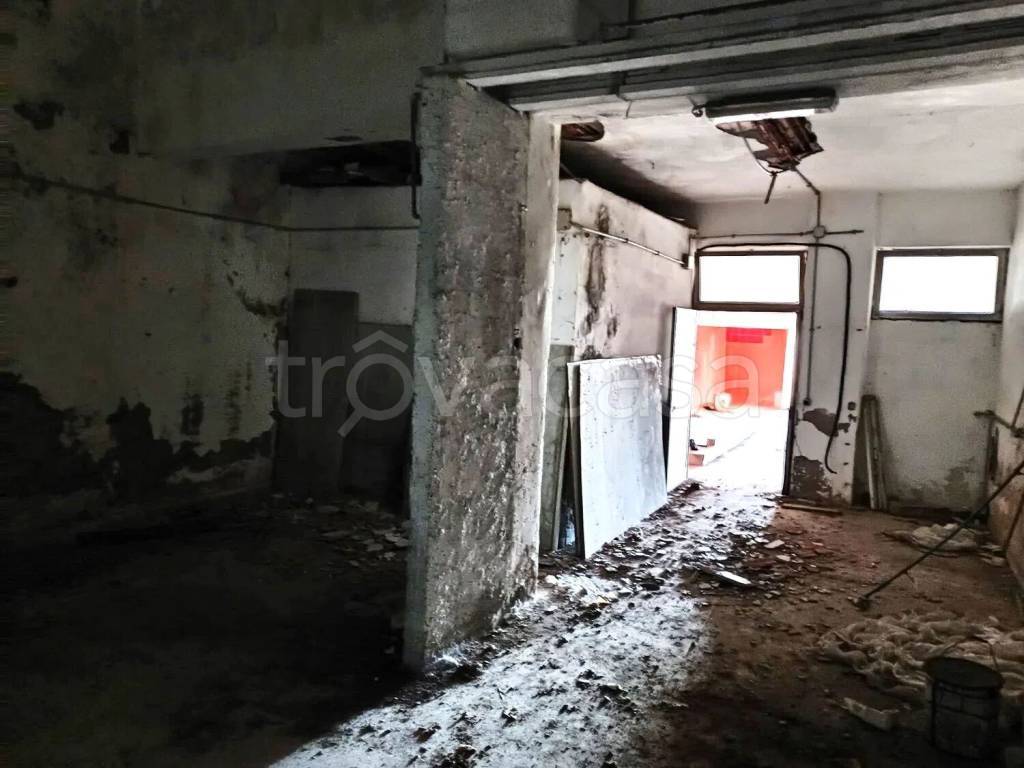 immagine annuncio 12 di 14