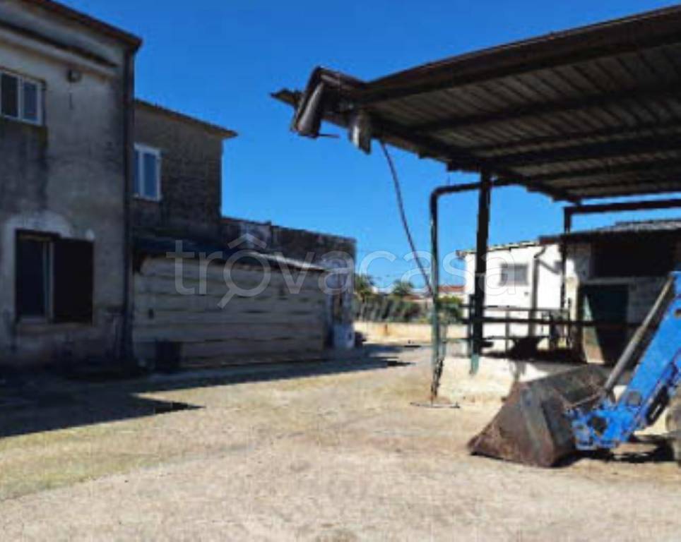 immagine annuncio 5 di 14