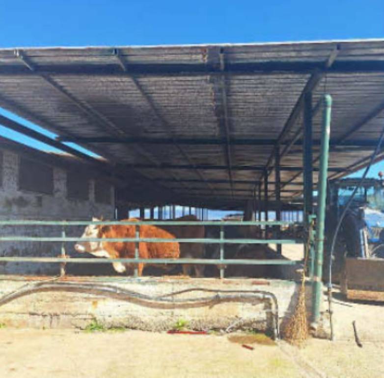 immagine annuncio 6 di 14