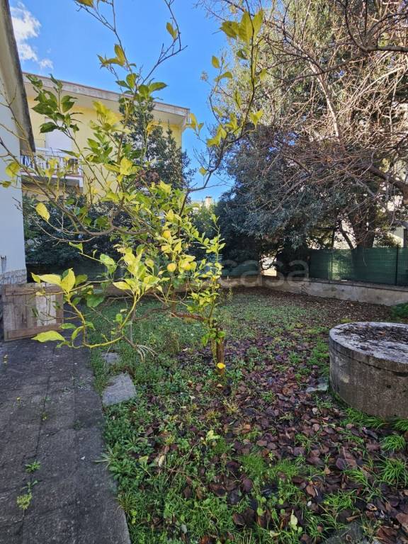 immagine annuncio 5 di 9