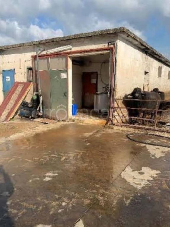 immagine annuncio 11 di 14