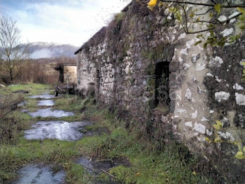 immagine annuncio 3 di 7