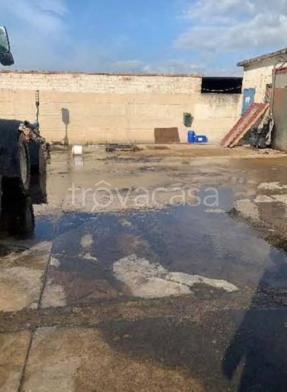 immagine annuncio 12 di 14