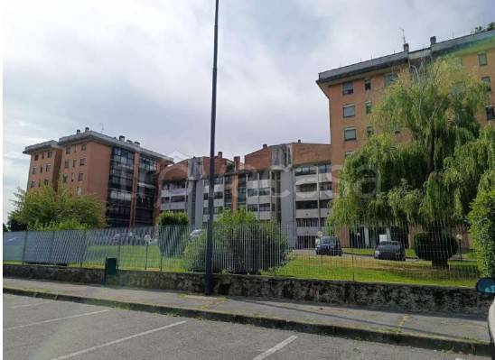 immagine annuncio 2 di 11