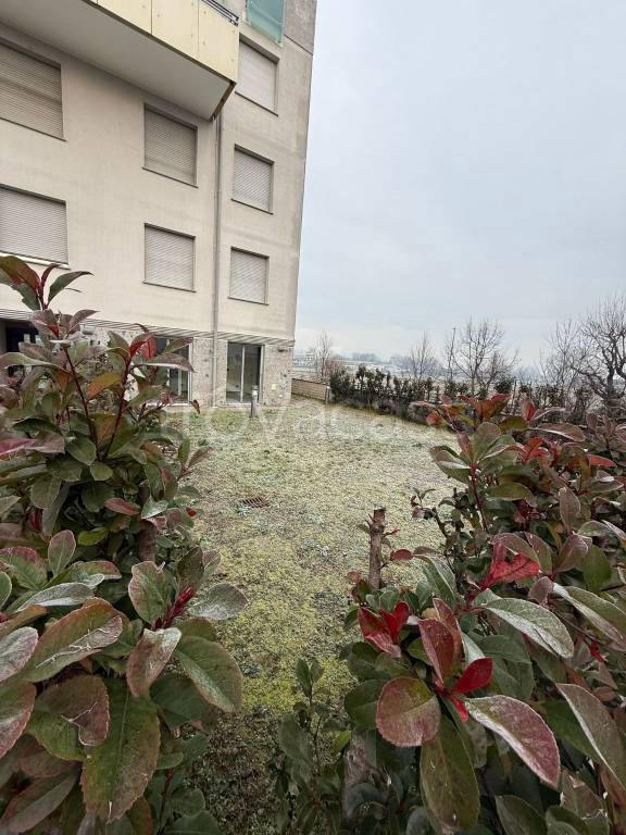 immagine annuncio 8 di 11