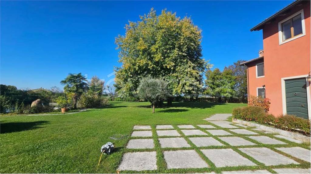 immagine annuncio 1 di 12