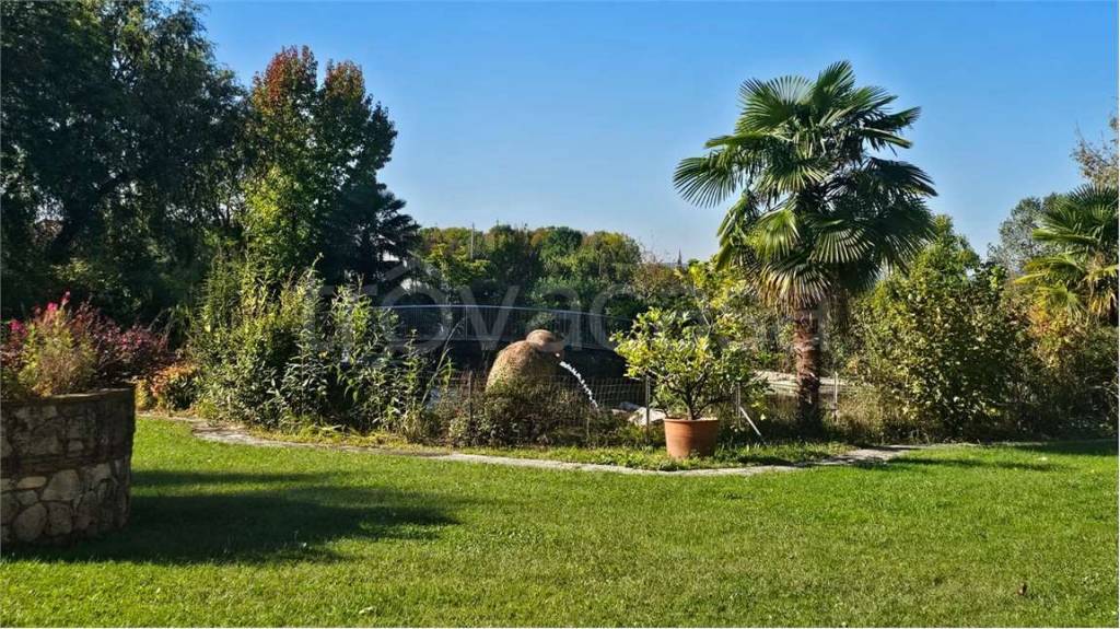 immagine annuncio 2 di 12