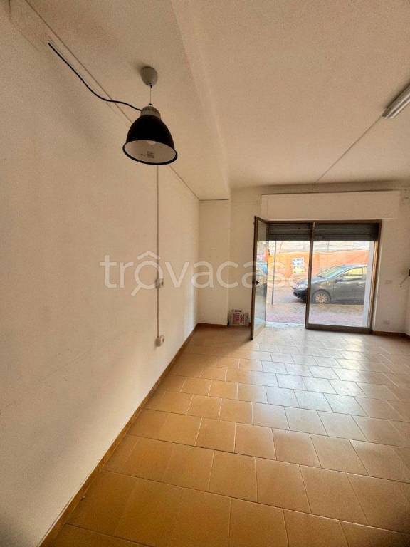 immagine annuncio 6 di 12