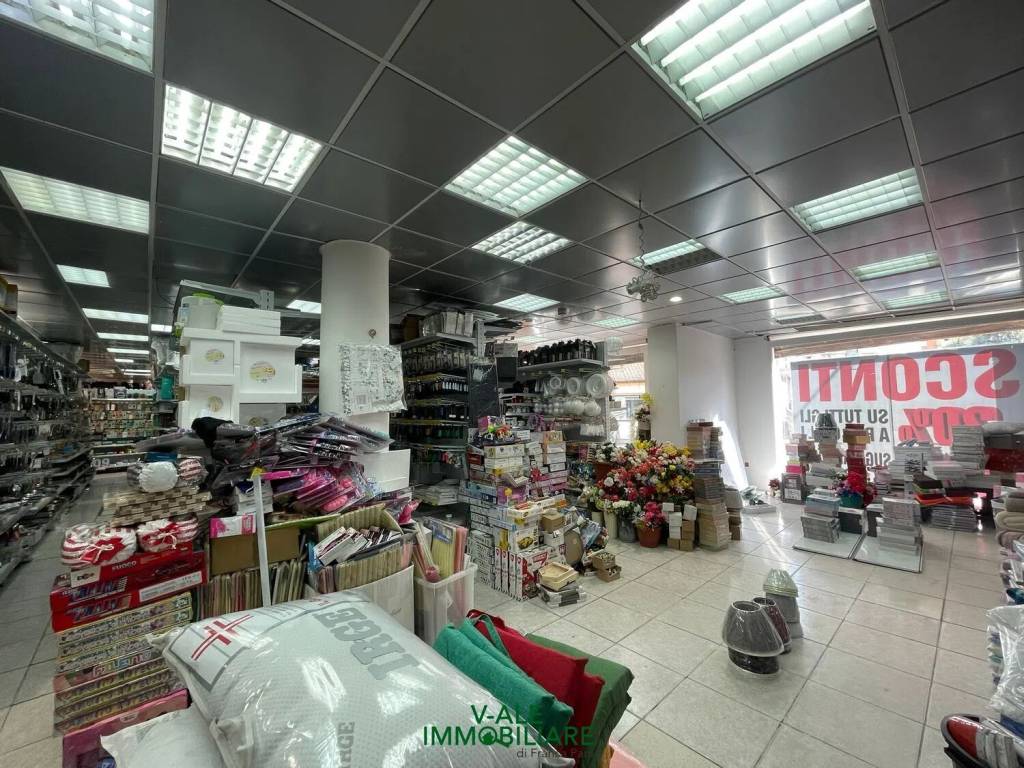 immagine annuncio 4 di 14