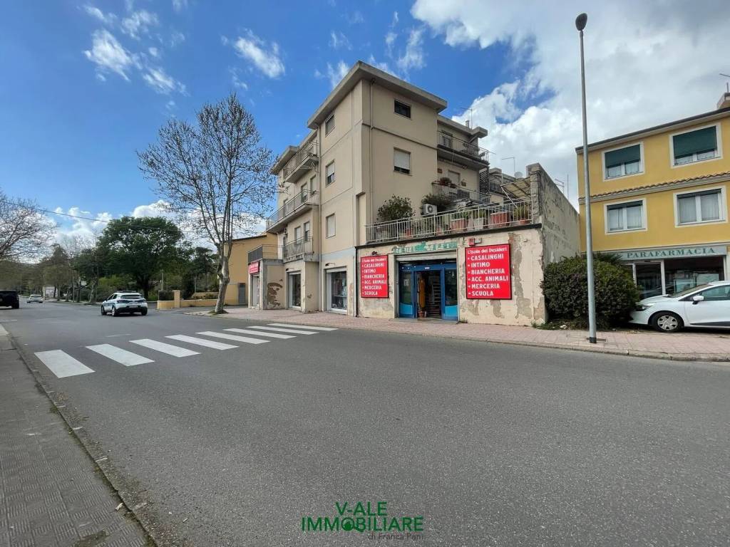 immagine annuncio 13 di 14