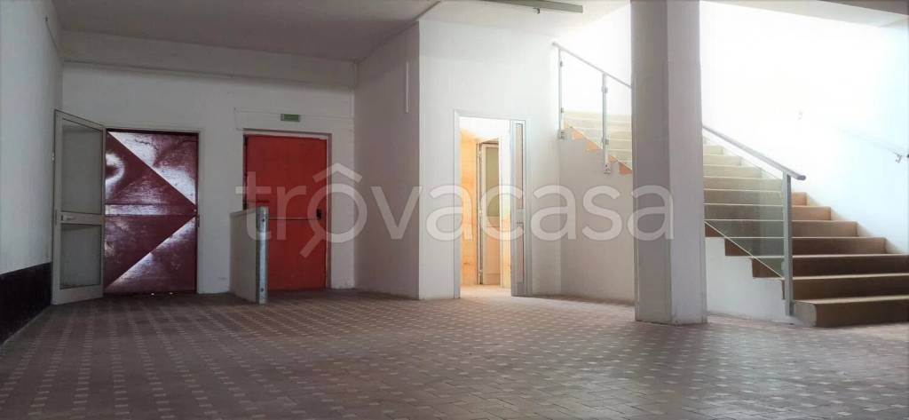 immagine annuncio 8 di 12