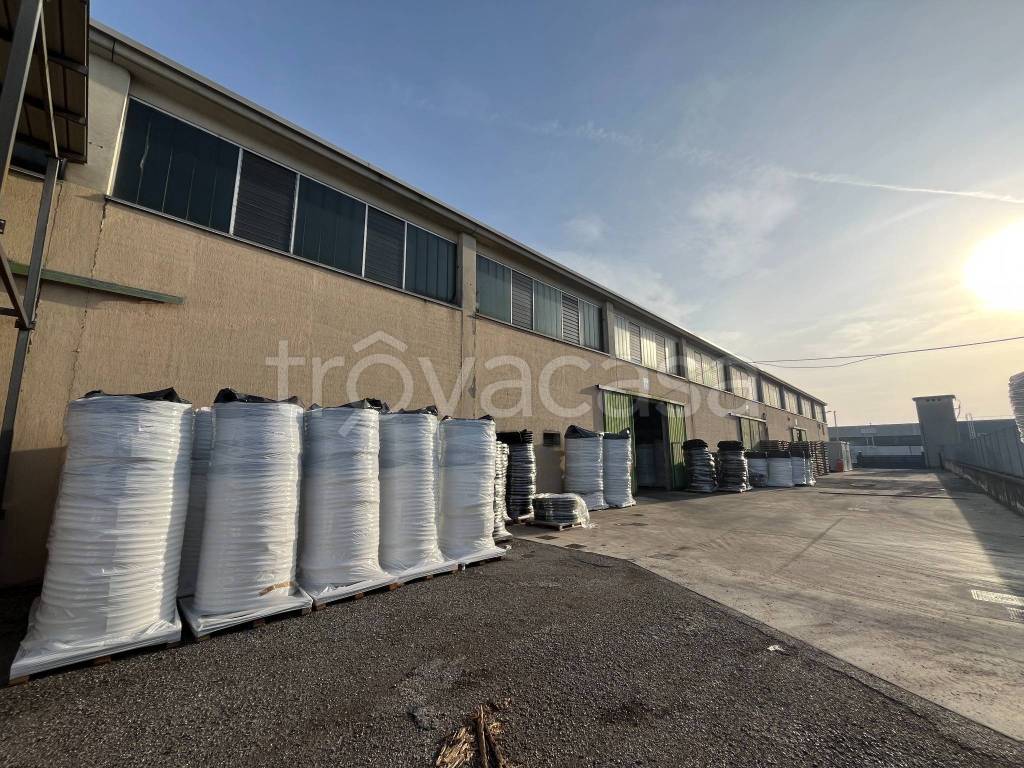 immagine annuncio 1 di 14