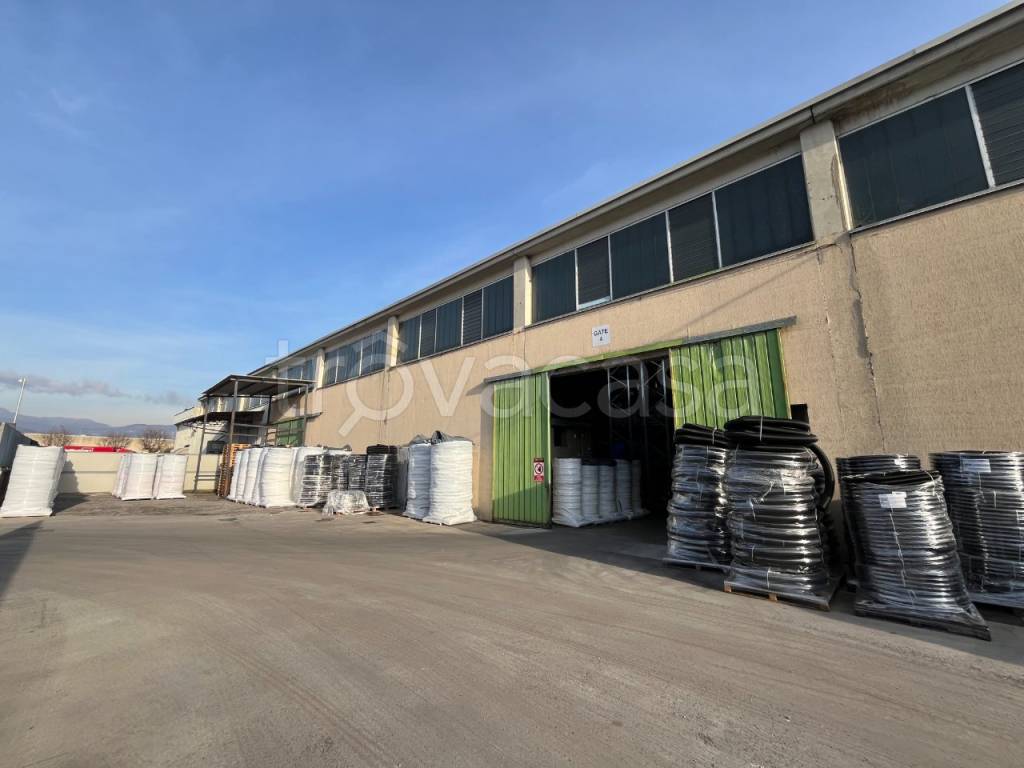 immagine annuncio 3 di 14