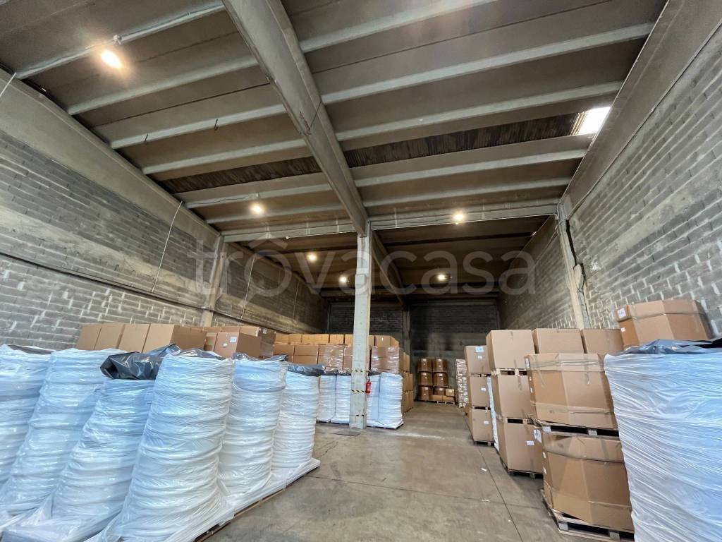 immagine annuncio 4 di 14