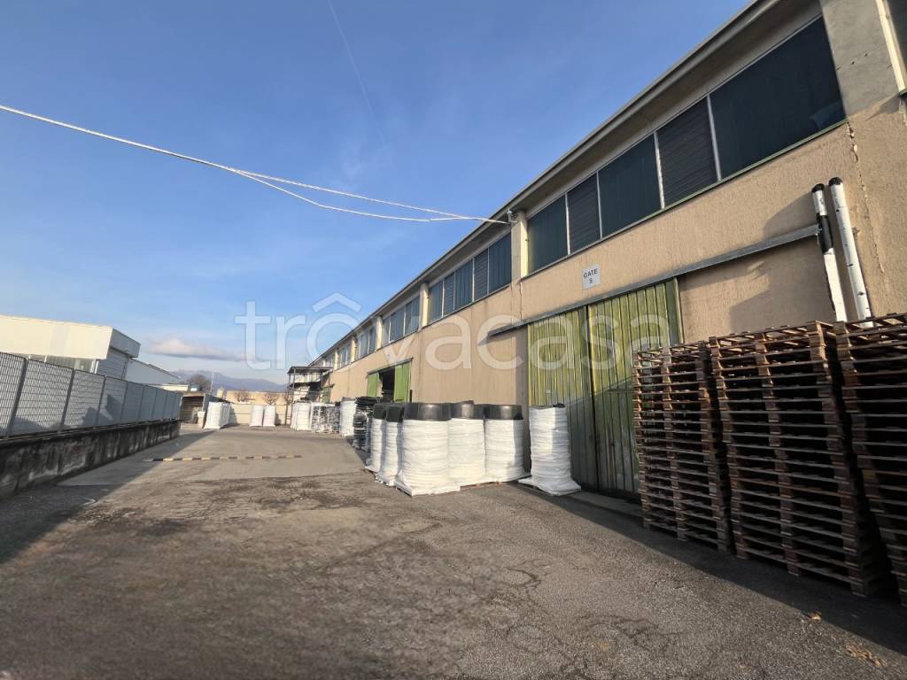 immagine annuncio 5 di 14