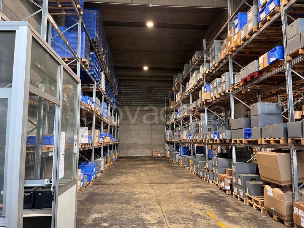 immagine annuncio 6 di 14