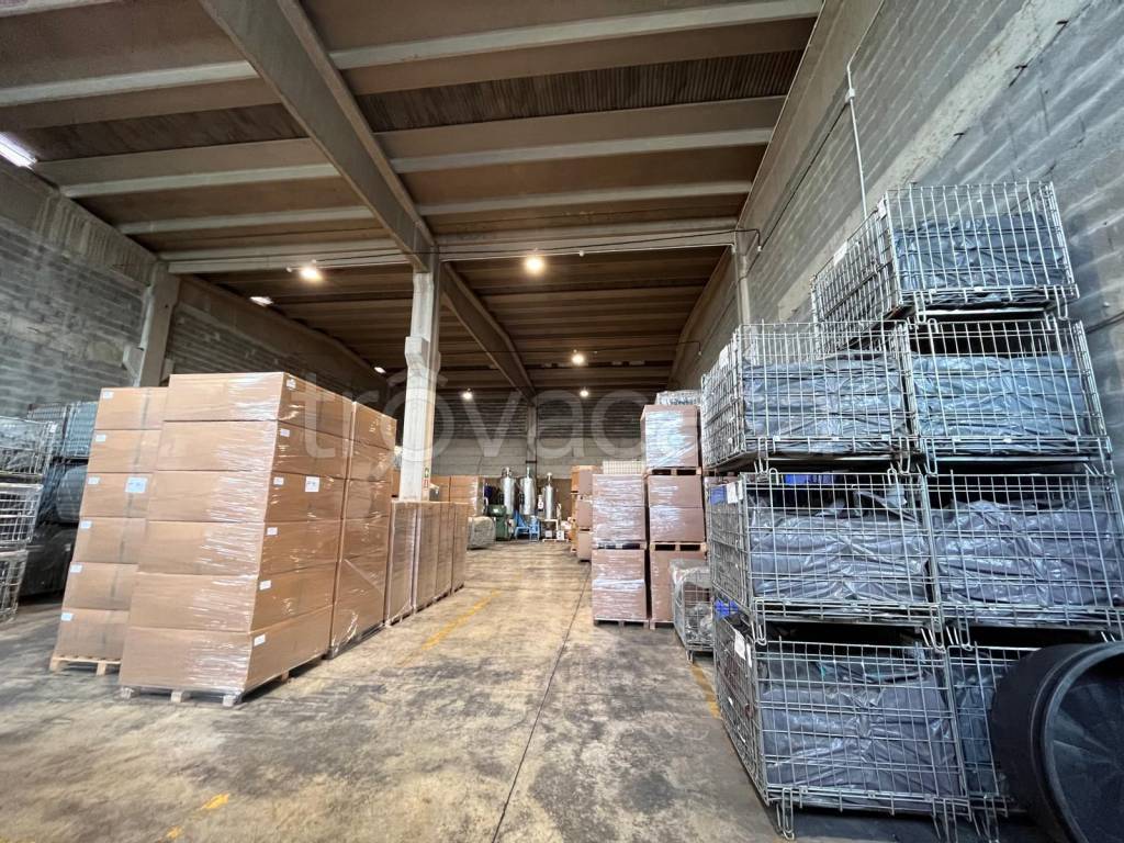 immagine annuncio 7 di 14