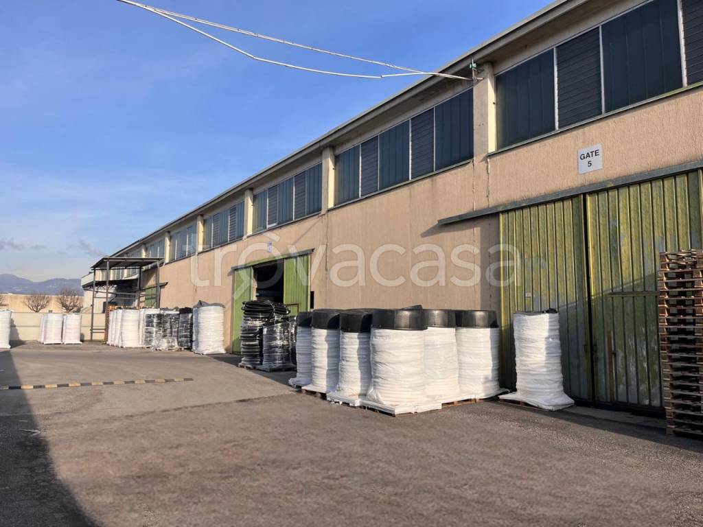 immagine annuncio 9 di 14