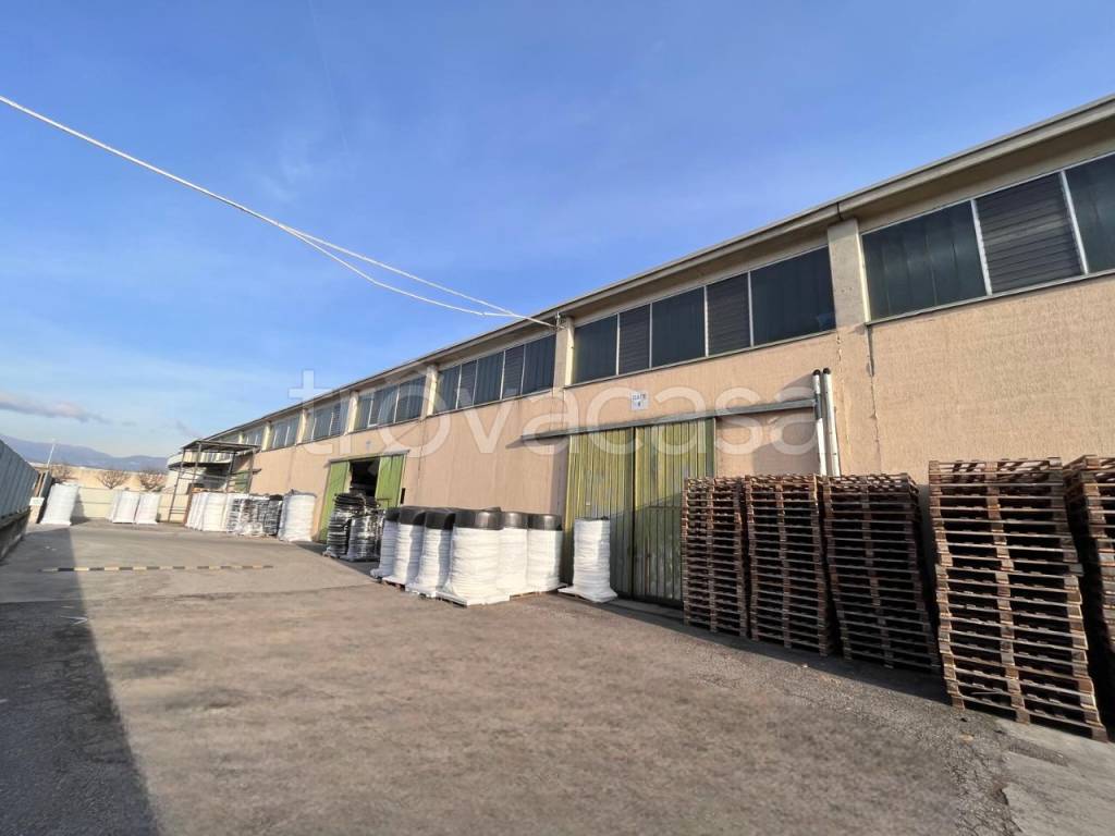 immagine annuncio 11 di 14