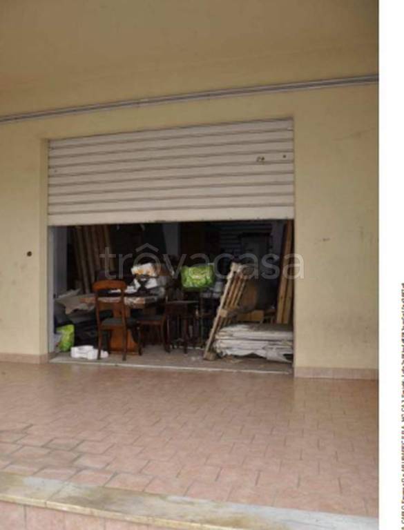 immagine annuncio 12 di 14