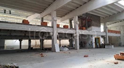 immagine annuncio 5 di 14