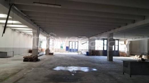 immagine annuncio 7 di 14