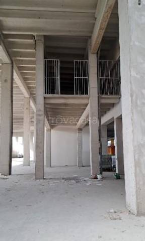 immagine annuncio 8 di 14