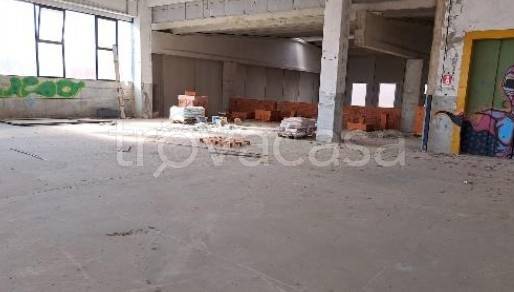 immagine annuncio 9 di 14