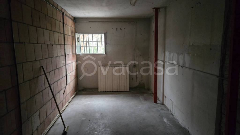 immagine annuncio 10 di 12