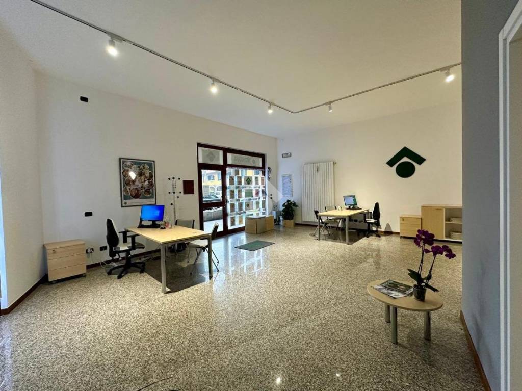 immagine annuncio 9 di 12