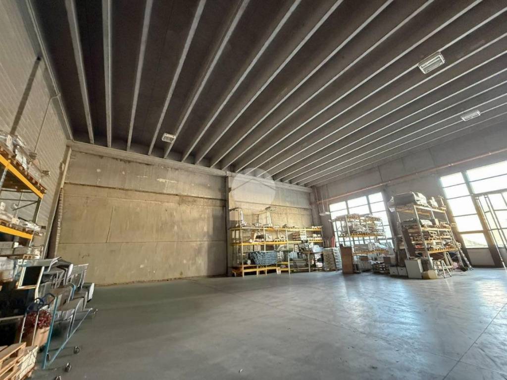 immagine annuncio 2 di 11