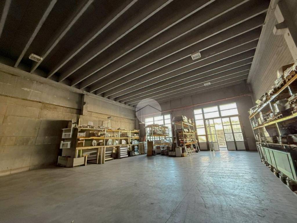 immagine annuncio 3 di 11